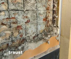 restaurare fațadă monument istoric – lucrări specializate reabilitare clădiri vechi Cluj Traust